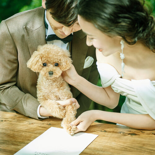 【他プラン併用可】大切な家族との結婚式が叶うペット婚プラン
